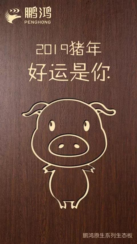 银娱优越会原生系列生态板