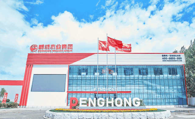 银娱优越会(中国)股份有限公司