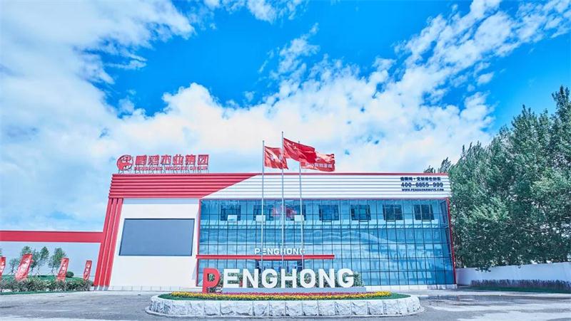 银娱优越会(中国)股份有限公司