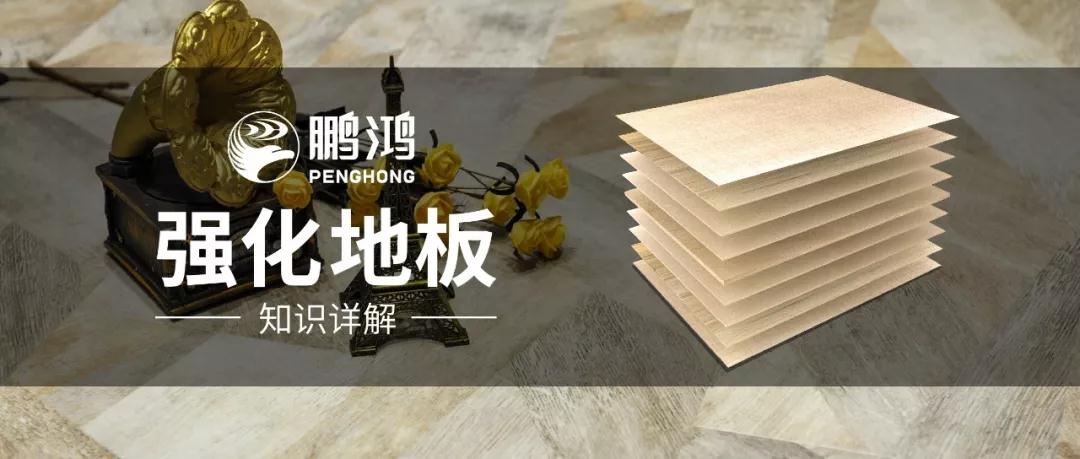 银娱优越会强化地板知识 银娱优越会强化地板知识