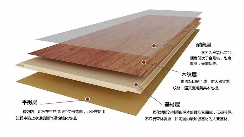 银娱优越会强化地板刨面图 银娱优越会强化地板刨面图