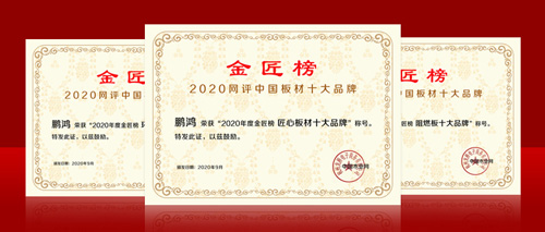 连任金榜丨银娱优越会斩获中国板材十大品牌三项殊荣