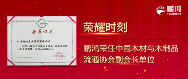 再获行业肯定，银娱优越会荣任中国木料与木制品流通协会副会长