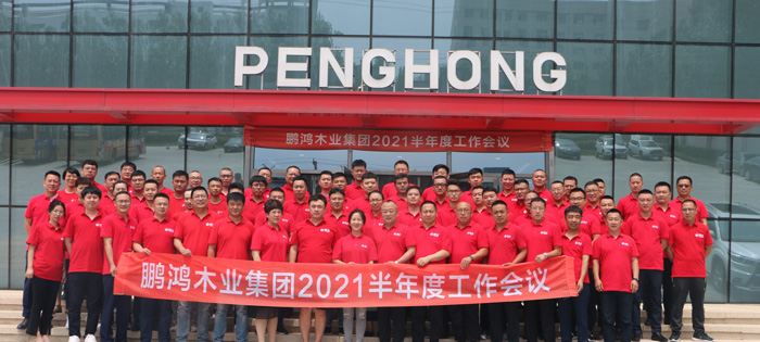 多元化增添的新高度——银娱优越会木业集团半年度事情聚会再续新征途