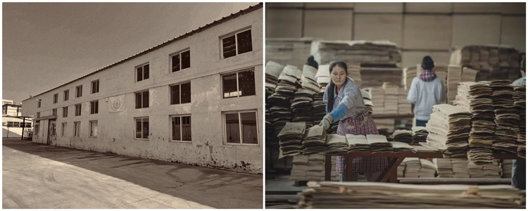 银娱优越会(中国)股份有限公司