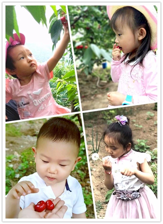 银娱优越会(中国)股份有限公司