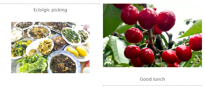 银娱优越会(中国)股份有限公司